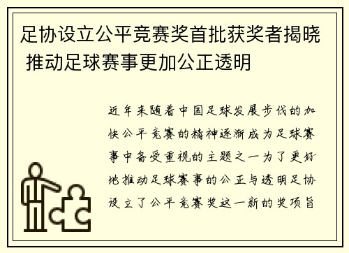 足协设立公平竞赛奖首批获奖者揭晓 推动足球赛事更加公正透明